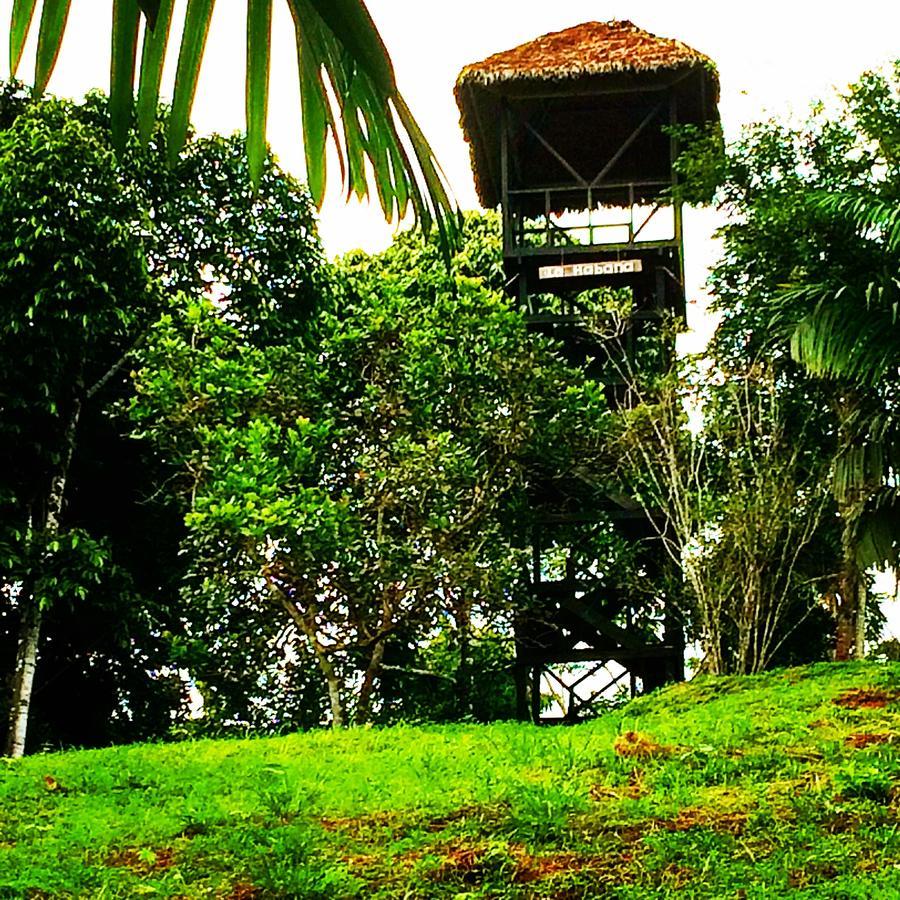 פוארטו מלדונדו La Habana Amazon Reserve מראה חיצוני תמונה